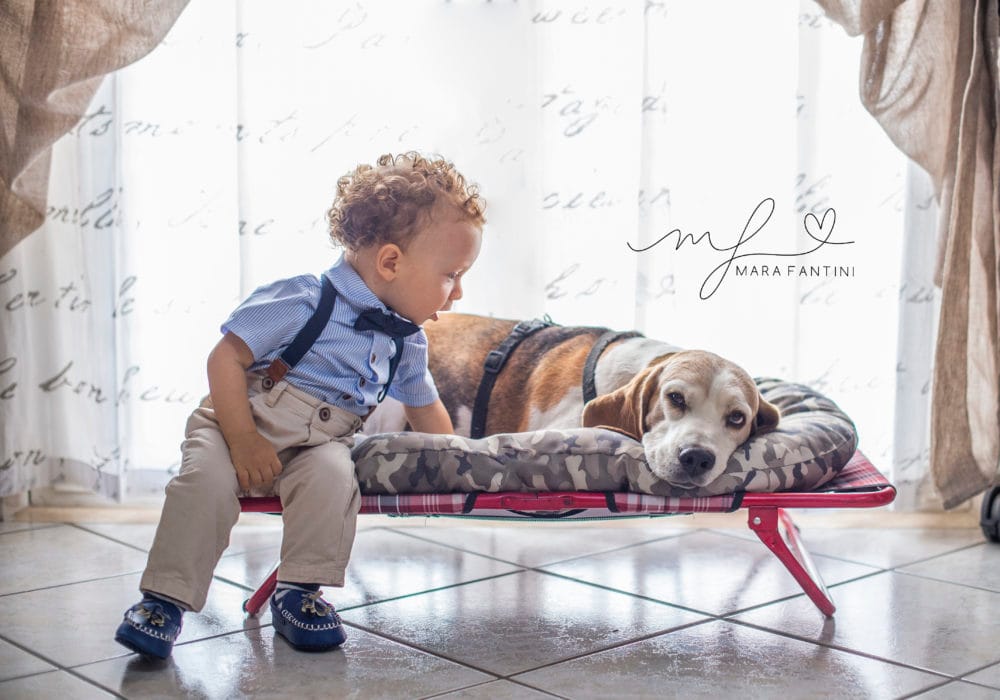 Servizio fotografico famiglia Roma – bambino con il cane Bambino piccolo gioca con il proprio cane durante un servizio fotografico di famiglia a Roma, momento spontaneo e naturale