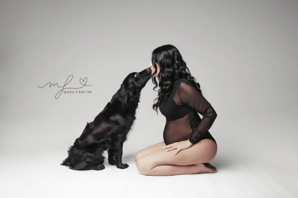 Foto gravidanza con cane a Roma — mamma con cocker spaniel nero