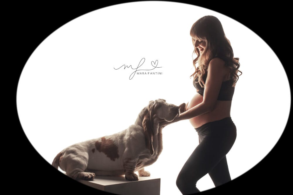 foto-gravidanza-con-cane-roma-studio-mara-fantini.jpg Mamma in gravidanza con il suo cane durante sessione fotografica in studio a Roma — Mara Fantini